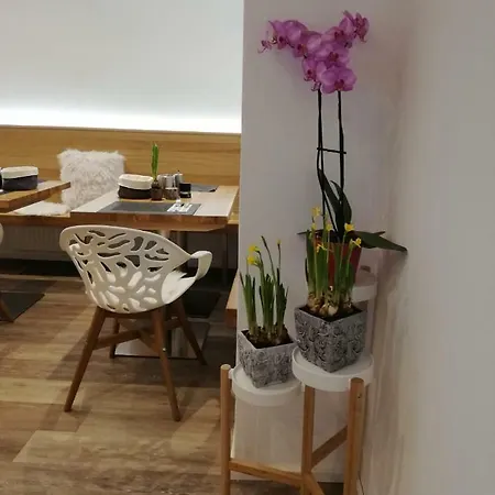 住宿加早餐酒店 Floeckner