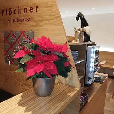 Floeckner 住宿加早餐酒店 萨尔茨堡