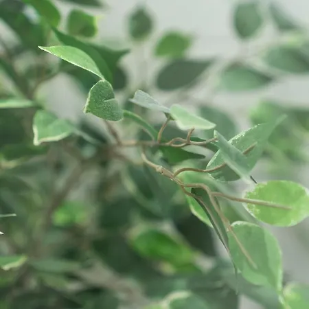 Floeckner Отель типа 